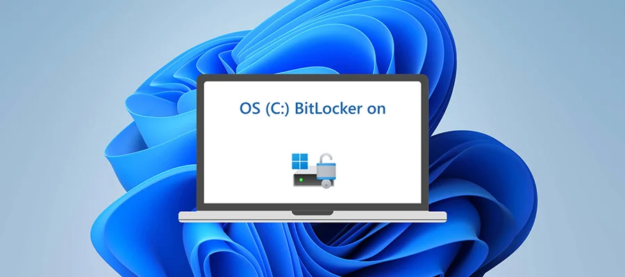 Mã hóa Bitlocker Windows 11 24H2 được tự động kích hoạt khi cài đặt lại