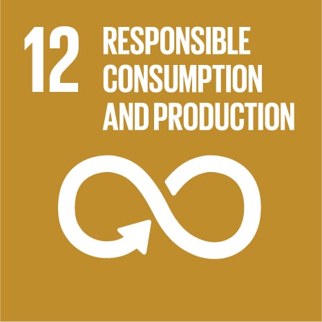 17 SUSTAINABLE DEVELOPMENT GOALS OF UNITED NATIONS