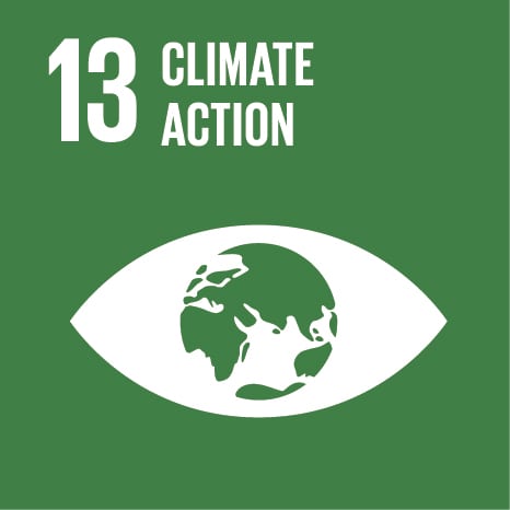 17 SUSTAINABLE DEVELOPMENT GOALS OF UNITED NATIONS