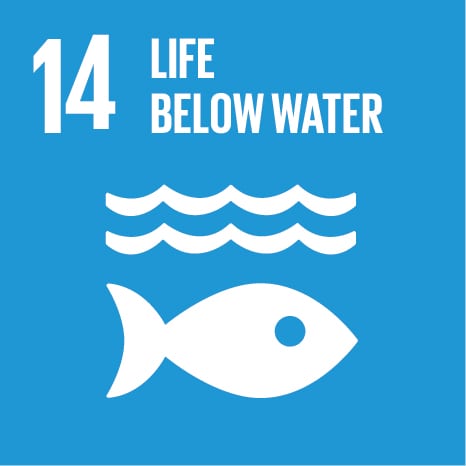 17 SUSTAINABLE DEVELOPMENT GOALS OF UNITED NATIONS