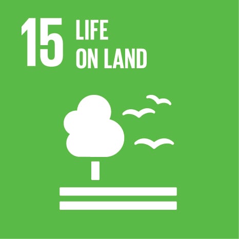 17 SUSTAINABLE DEVELOPMENT GOALS OF UNITED NATIONS