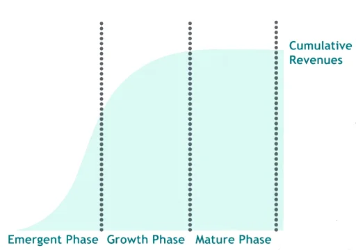 Vòng đời cạnh tranh (Competitive Life Cycle). Nguồn: BCG