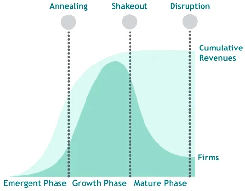 Vòng đời cạnh tranh (Competitive Life Cycle). Nguồn: BCG