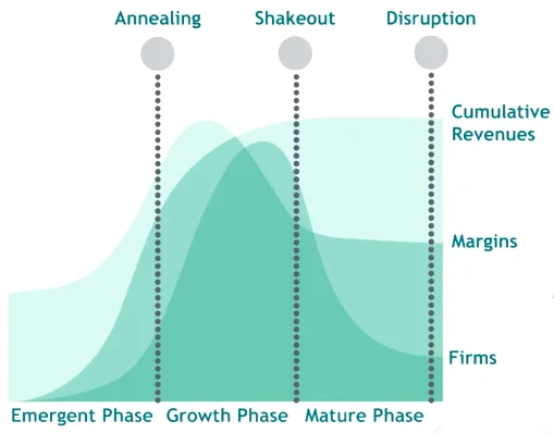 Vòng đời cạnh tranh (Competitive Life Cycle). Nguồn: BCG