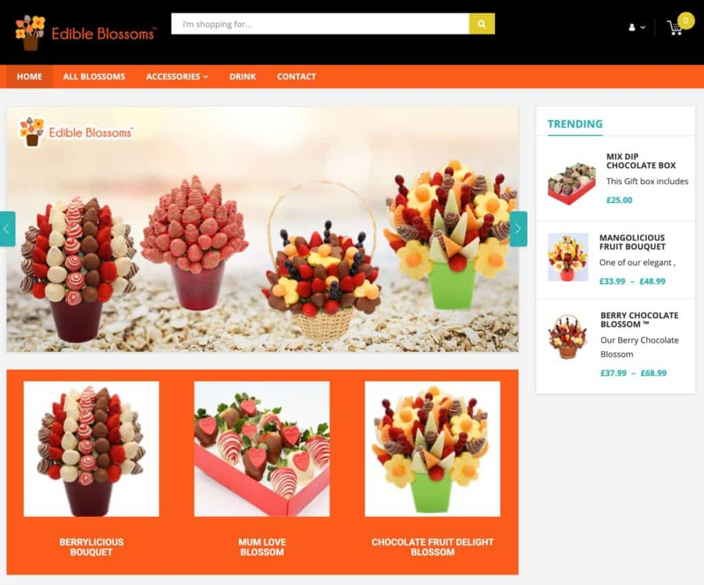Bảo Minh Ân - Thiết kế website và Digital Marketing